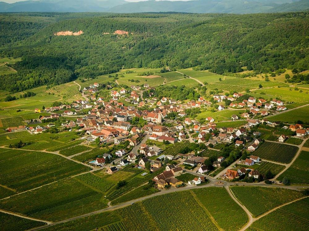 Domaine Théo Cattin et fils - Maison Cattin